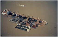 Unique Cargo