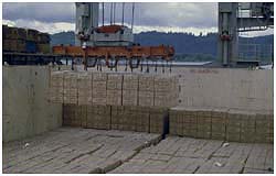 Unique Cargo