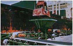 Main Office